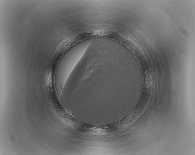 X0000116020502200911201237