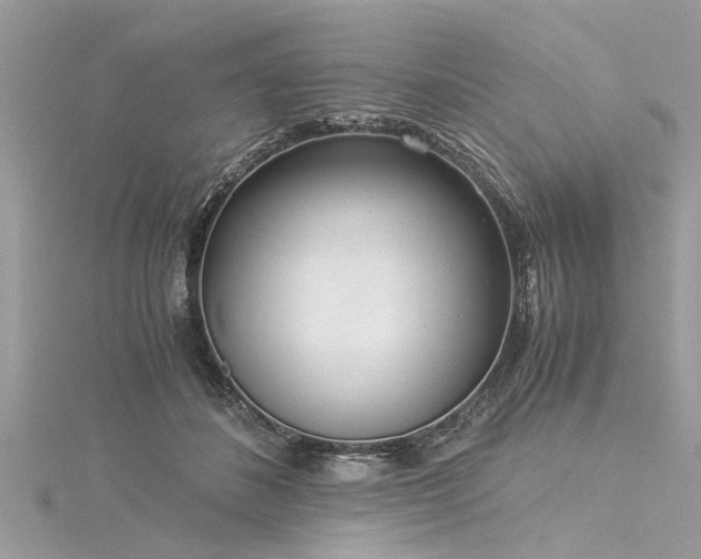 X0000116020508200911201237