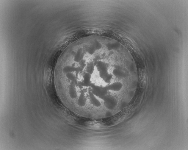 X0000116020511200911201237