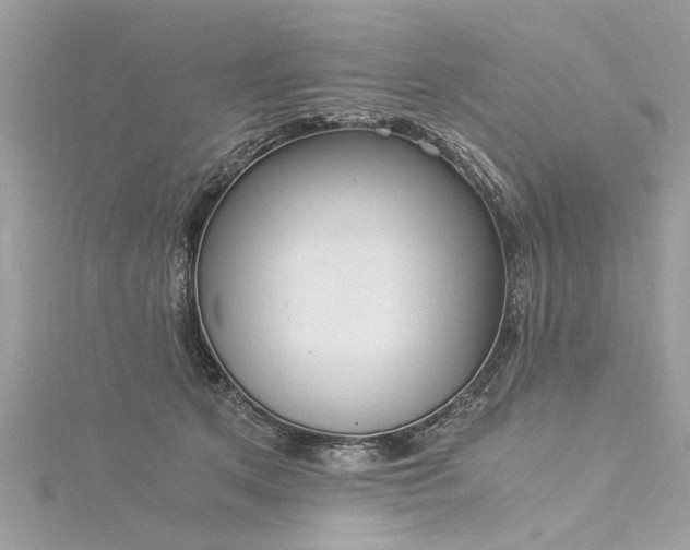 X0000116020513200911201237
