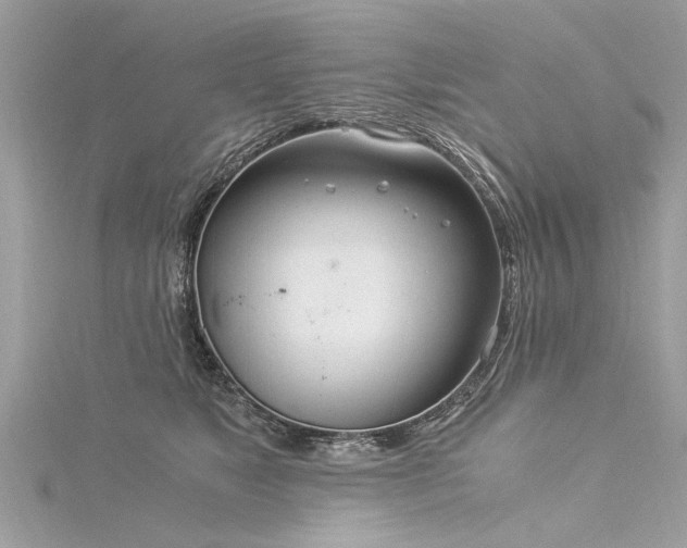 X0000116020517200911201237