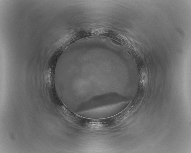 X0000116020519200911201237
