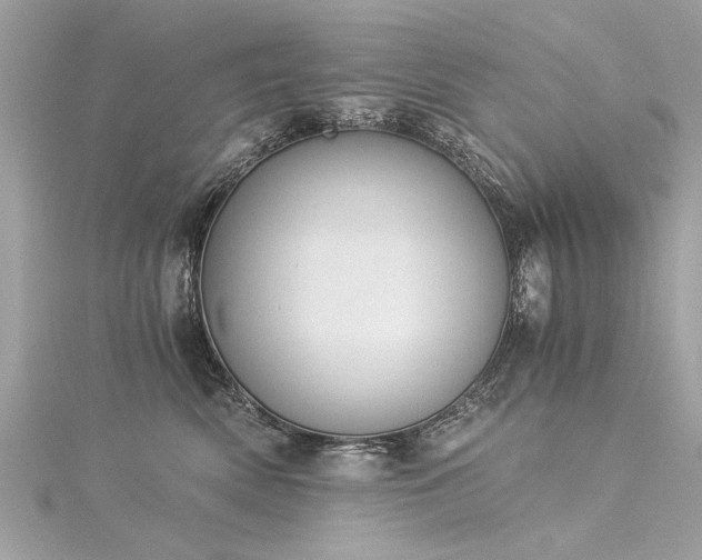 X0000116020522200911201237