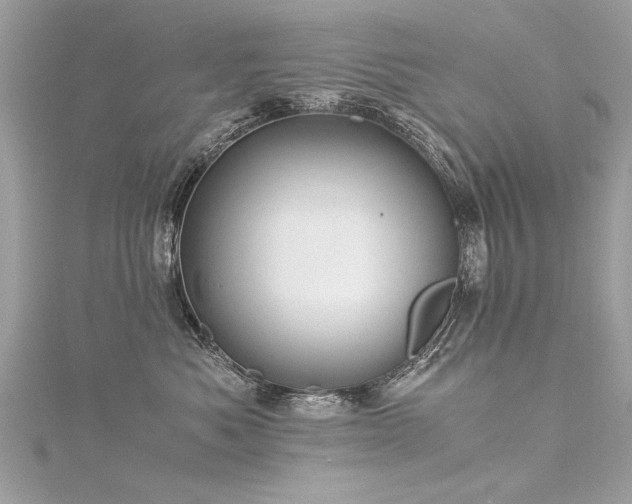 X0000116020525200911201237