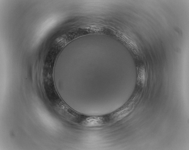 X0000116020526200911201237