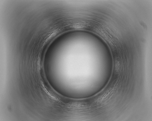 X0000116020530200911201236