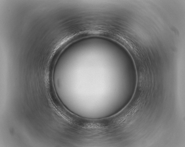 X0000116020535200911201236