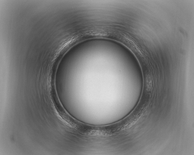 X0000116020538200911201236