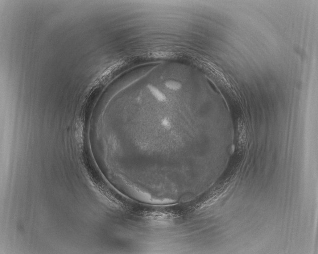 X0000116020542200911201236
