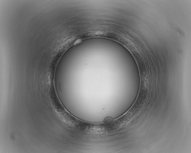 X0000116020546200911201236