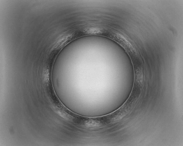 X0000116020549200911201236