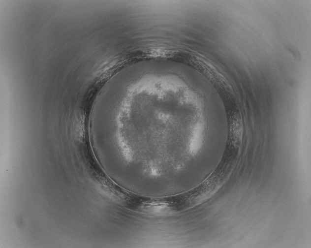 X0000116020554200911201237