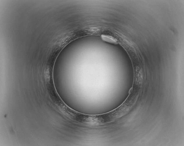 X0000116020562200911201237