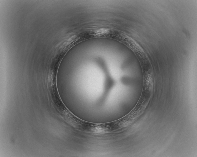 X0000116020565200911201237