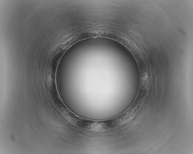 X0000116020566200911201237