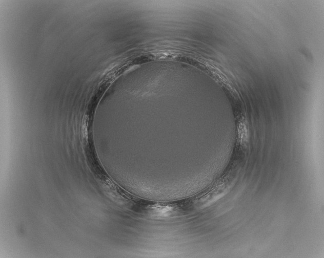 X0000116020570200911201237