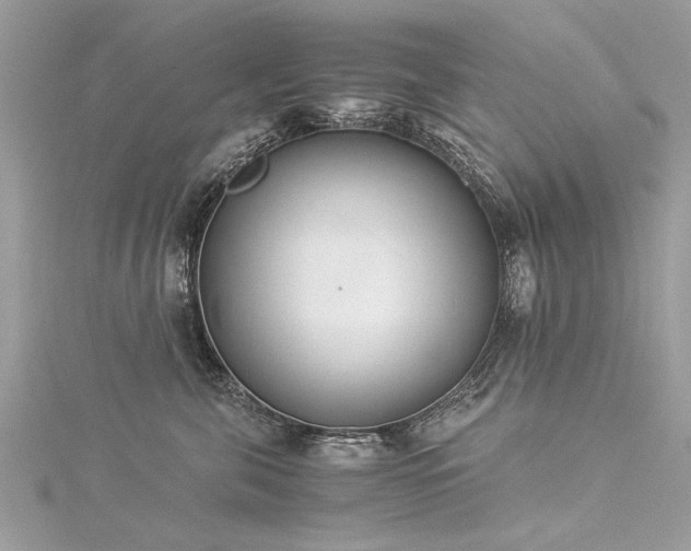 X0000116020571200911201237