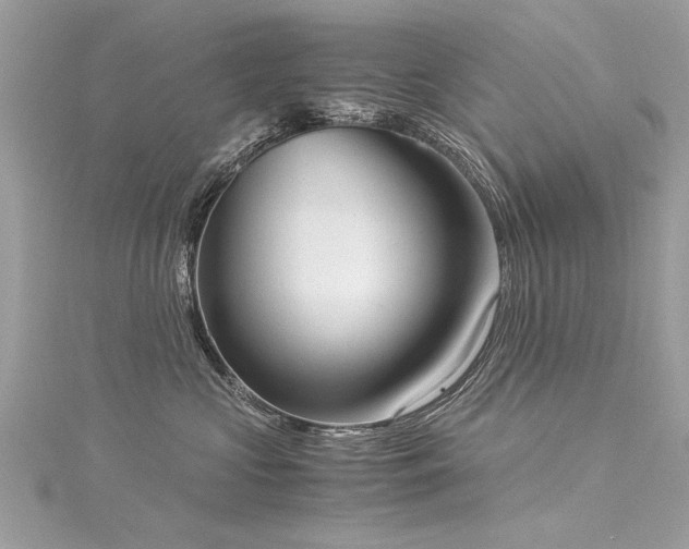 X0000116020573200911201237