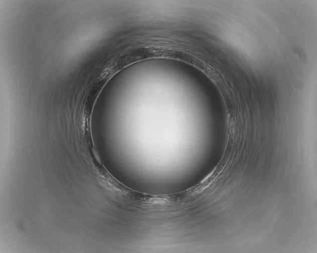 X0000116020574200911201237