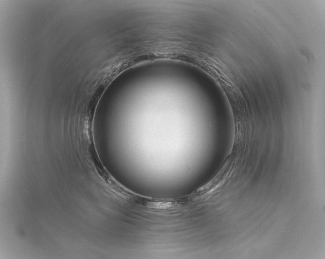 X0000116020575200911201237