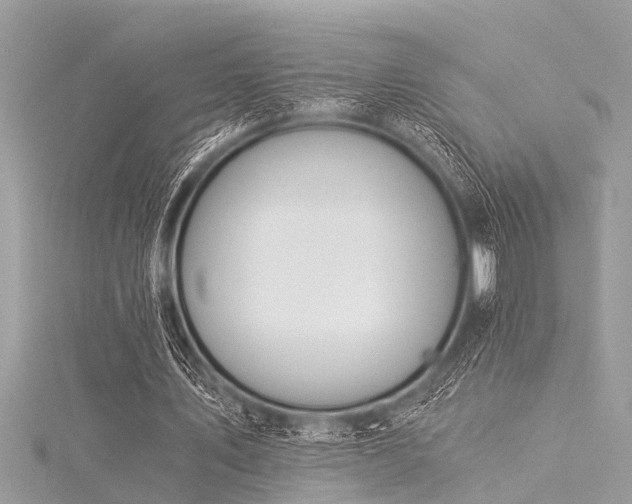 X0000116020579200911201236
