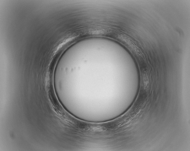 X0000116020583200911201236