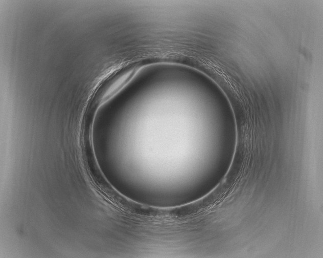 X0000116020587200911201236