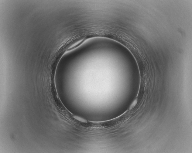 X0000116020595200911201236
