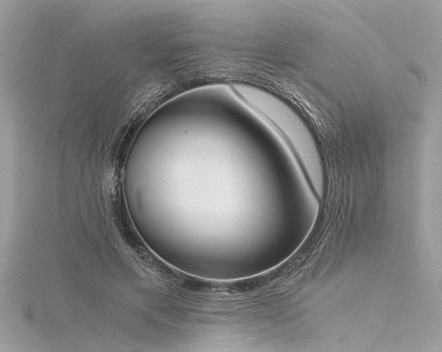 X0000116020597200911201236