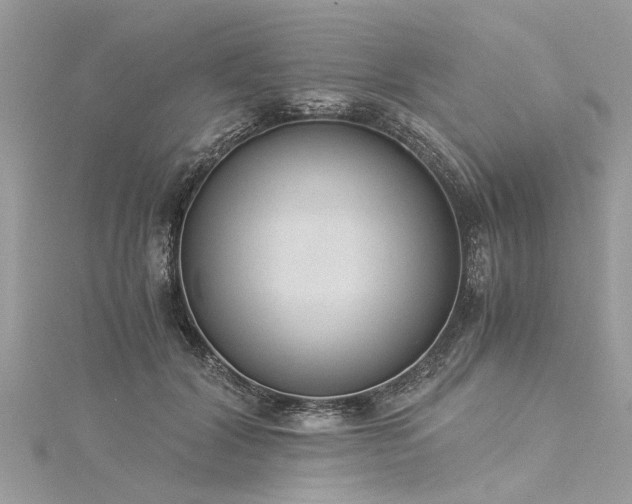 X0000116020604200911201236