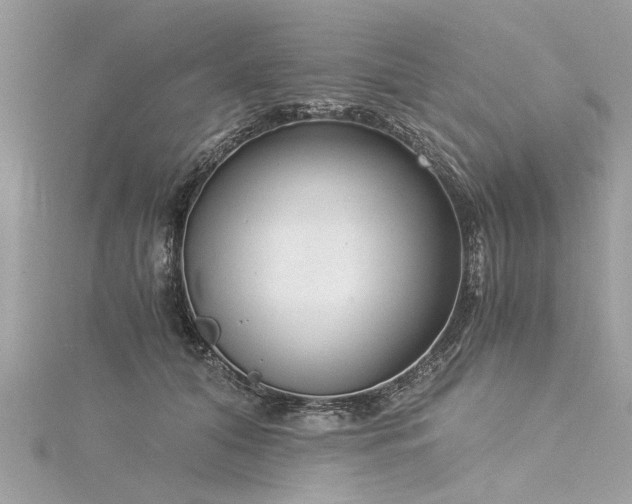 X0000116020608200911201236
