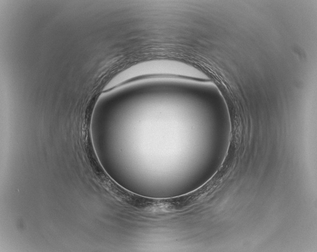 X0000116020609200911201236