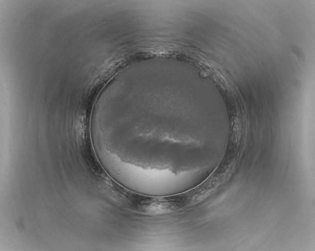 X0000116020612200911201236