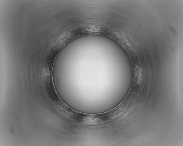X0000116020614200911201236