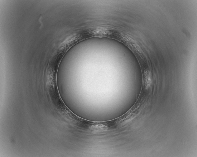 X0000116020619200911201235
