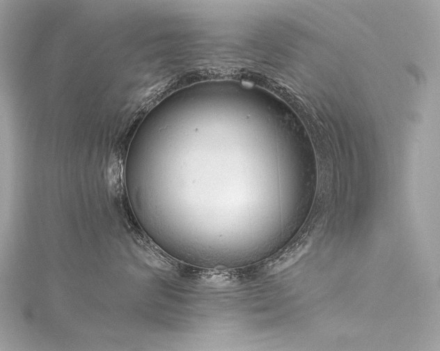 X0000116020624200911201235