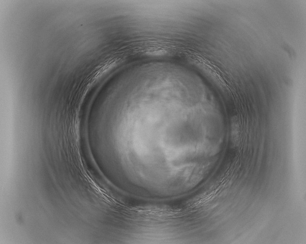 X0000116020626200911201235