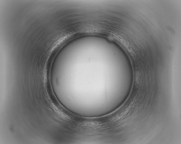 X0000116020629200911201235