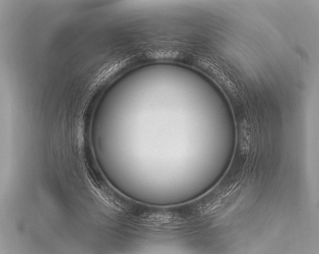 X0000116020631200911201235