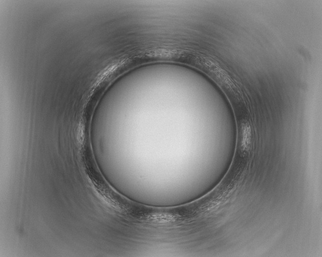 X0000116020636200911201235