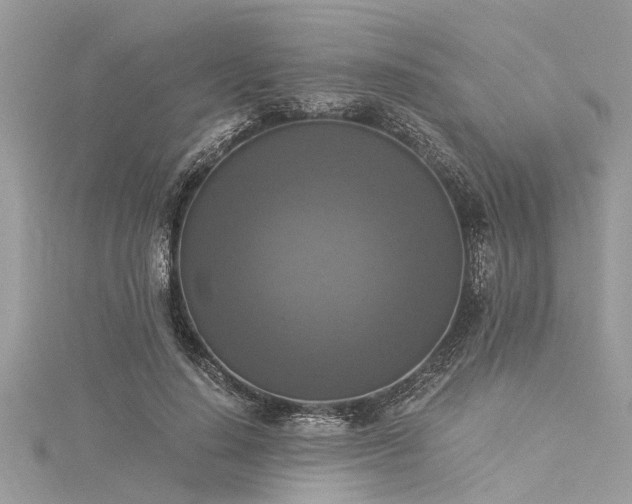 X0000116020644200911201235