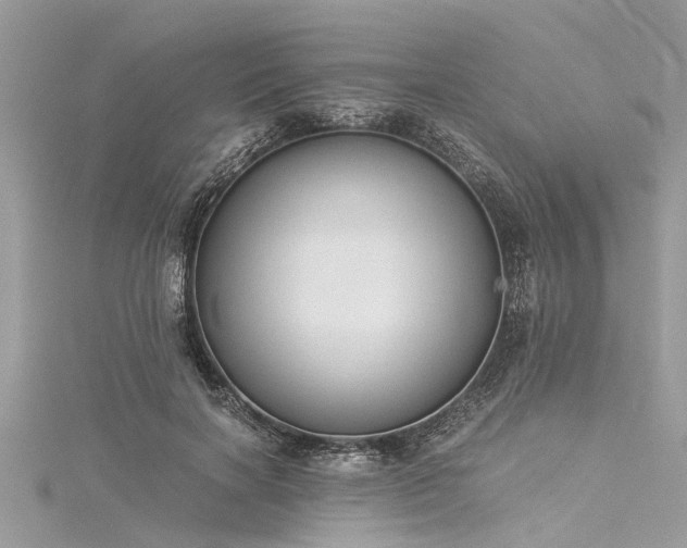 X0000116020646200911201235
