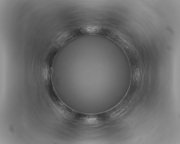 X0000116020651200911201235