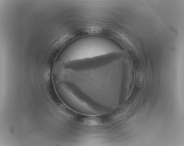 X0000116020652200911201235