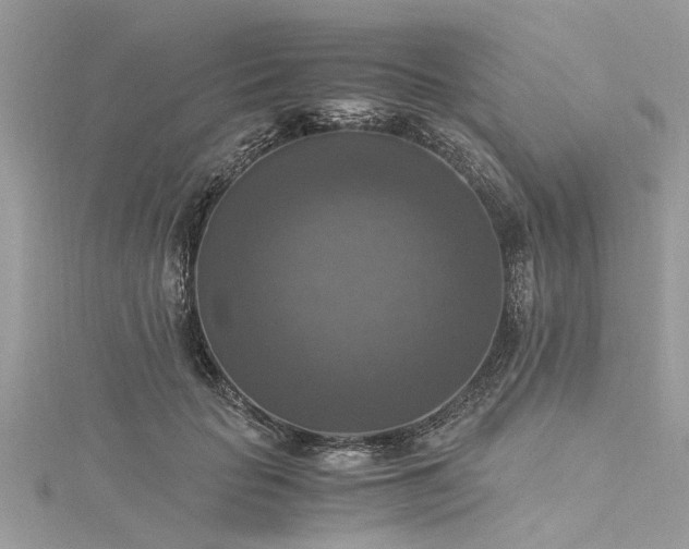 X0000116020653200911201235