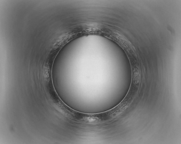 X0000116020654200911201235