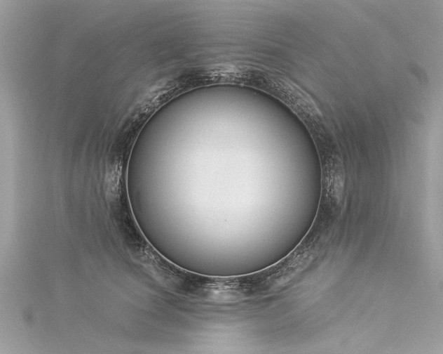 X0000116020660200911201235
