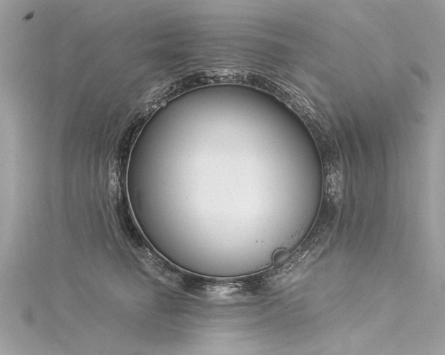 X0000116020662200911201235