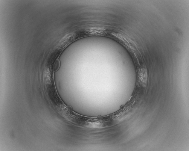 X0000116020667200911201235