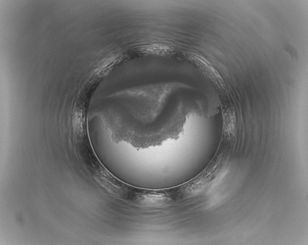 X0000116020669200911201235